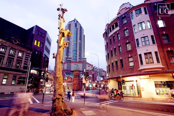 đi Sydney mùa nào đẹp nhất