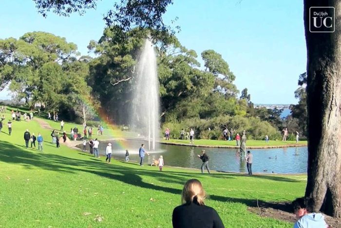 Chơi gì ở Sydney công viên
