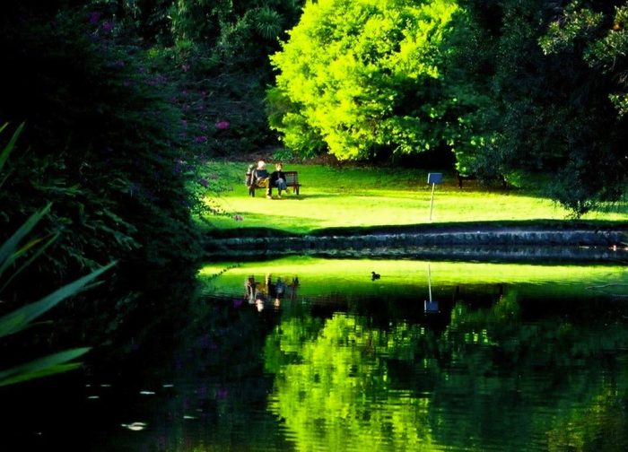 công viên Chơi gì ở Sydney