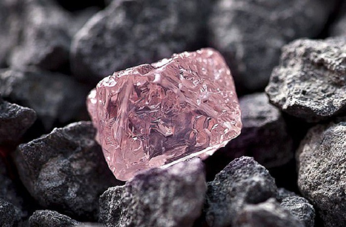 Du lịch Úc nên mua gì - Kim cương hồng quý hiếm