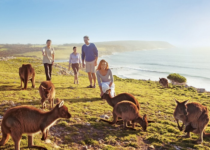 vườn thú Chơi gì ở Sydney 