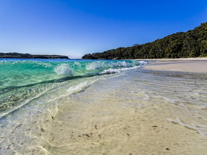 Kinh nghiệm du lịch Úc mùa xuân - Vịnh Jervis.