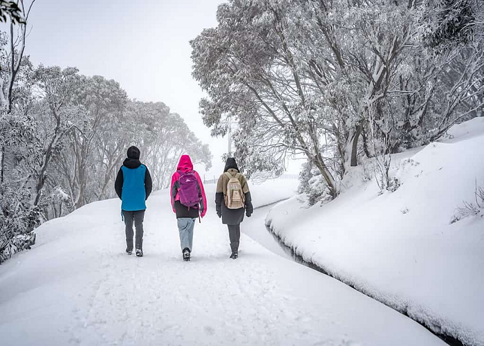 Kinh nghiệm du lịch Úc mùa đông