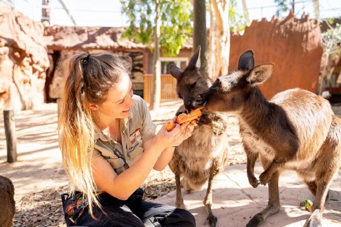 Sở thú WILD LIFE tại Cảng Darling