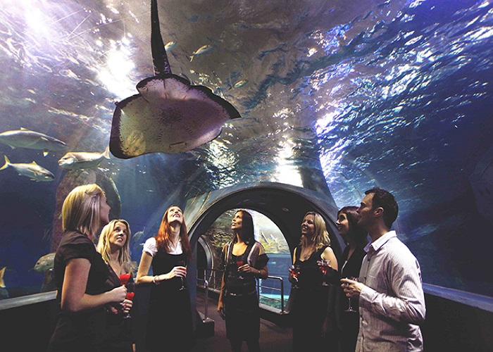 Thủy cung Melbourne