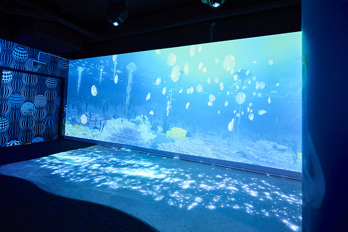 Thủy cung Melbourne - Bức tường kỳ ảo sử dụng kỹ thuật số trong thủy cung