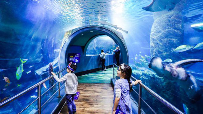 Thủy cung Melbourne - Khu thủy cung rất được trẻ em yêu thích