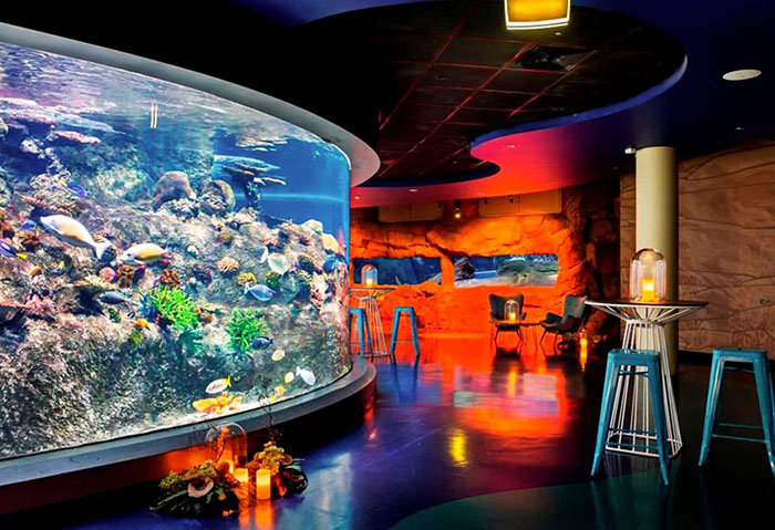 Thủy cung Melbourne - Cuộc sống đại dương rực rỡ, sôi động ngay trước mắt bạn