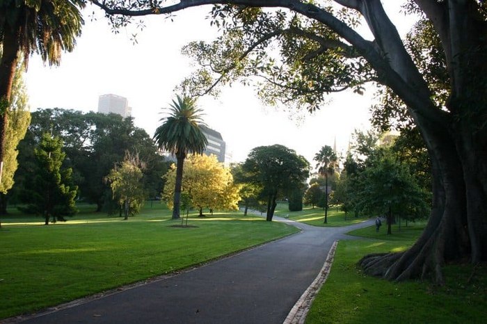 Vườn Fitzroy - Hotham Walk