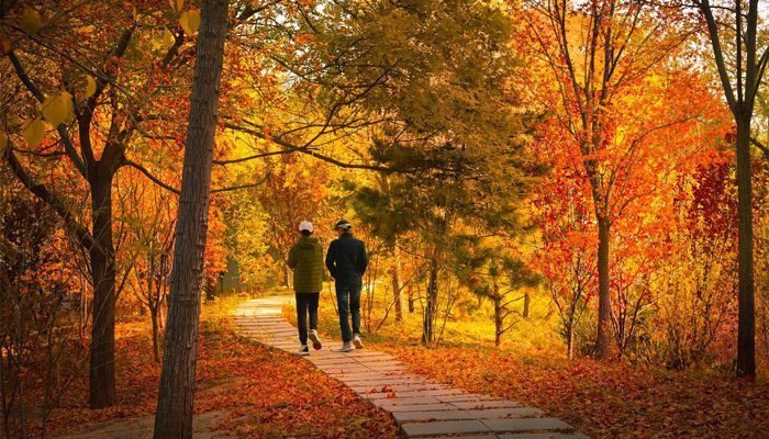 Du lịch Úc tháng 4 là thời điểm thích hợp