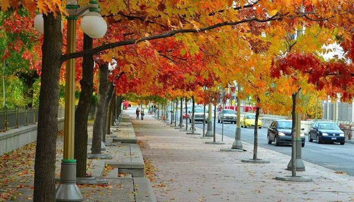 Du lịch Úc tháng 4 lượng du khách giảm hơn so với những tháng khác trong năm nên không khí sẽ không quá ồn ào