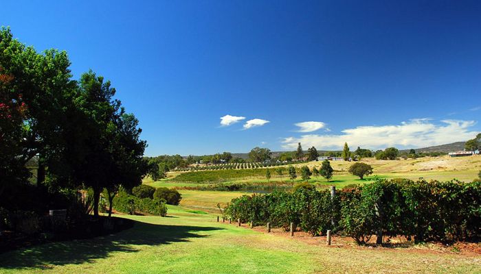  Thung lũng rượu vang Swan nước Úc