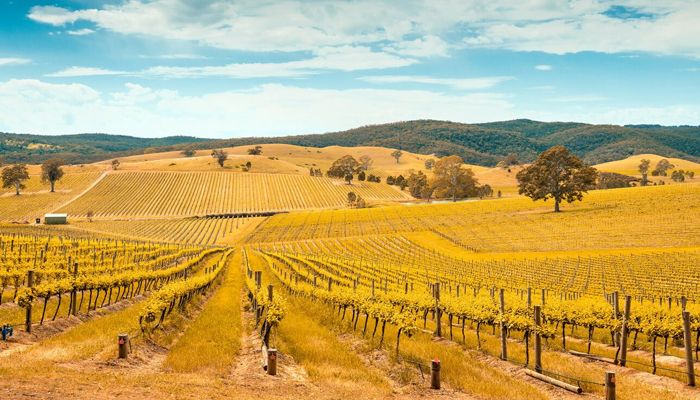 Du lịch úc tháng 5 Chuẩn bị kỹ giấy tờ trước khi tới Úc 