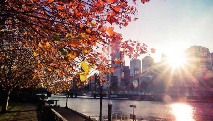 Du lịch úc tháng 5 Trên khắp các cung đường lá vàng phủ đầy