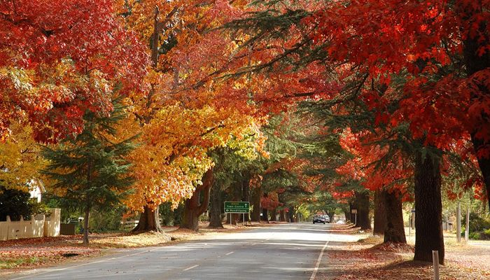 Thị trấn Bright nước Úc 