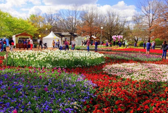 Đi du lịch Úc tháng 9 Floriade – lễ hội hoa lớn nhất vùng bán cầu Nam