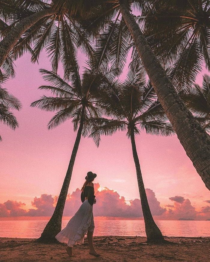 Đến Úc bạn nên ghé biển Palm Cove