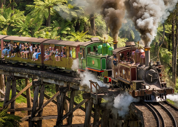 Chơi gì ở Melbourne