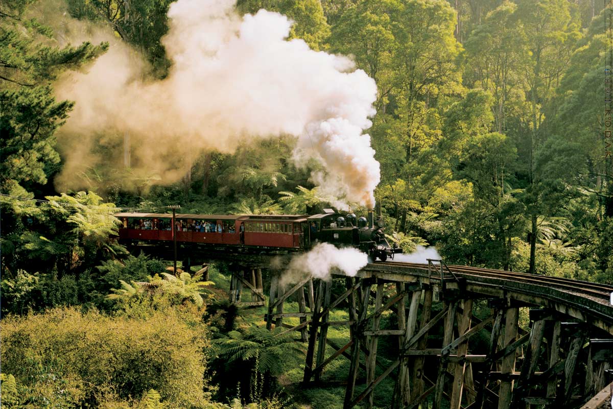 Chơi gì ở Melbourne - Tàu hơi nước Puffing Billy đi qua tuyến đường tự nhiên bậc nhất 
