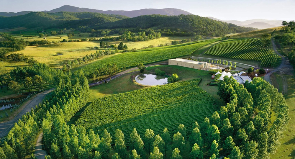 tự nhiên bậc nhất - Tham quan thung lũng Yarra, nơi trưng cất rượu vang đặc sản