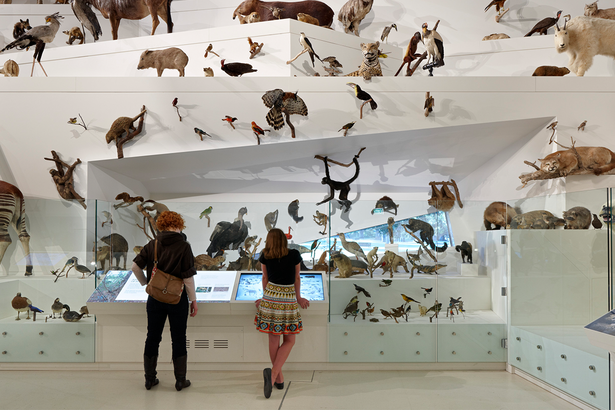 Bảo tàng Melbourne đông khách du lịch nhất tại thành phố