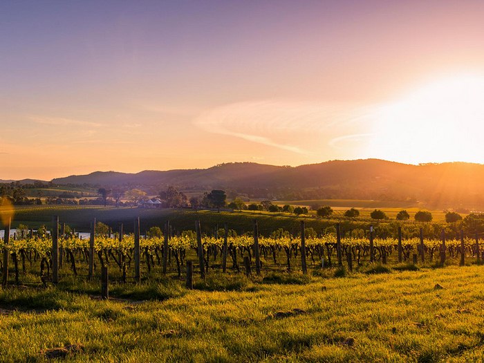 Du lịch Melbourne mùa thu -Hoàng hôn thung lũng Yarra.