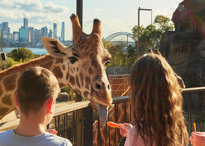 Du lịch Sydney nên đi đâu?