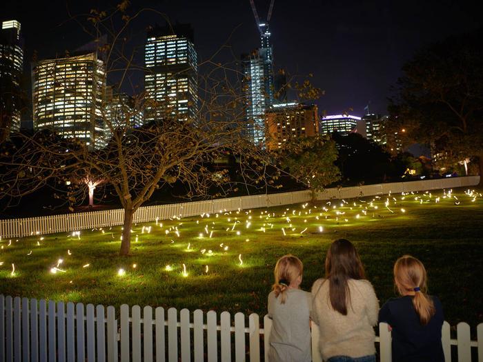 Giới thiệu lễ hội ánh sáng Vivid Sydney