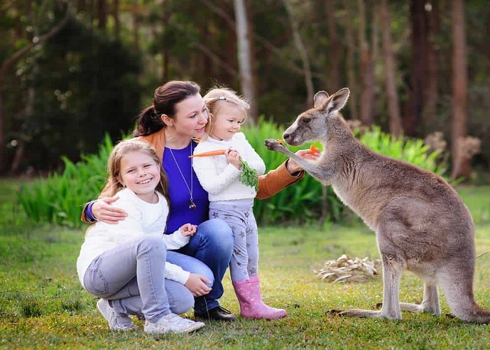 Kinh nghiệm du lịch Úc