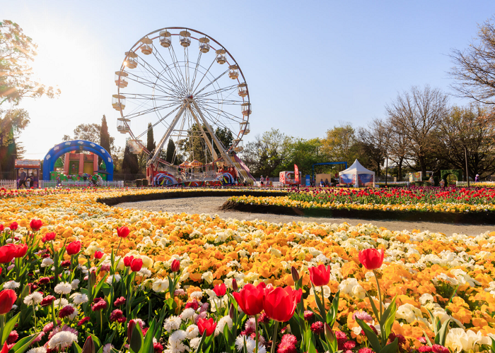 Lễ hội hoa Floriade ở Úc