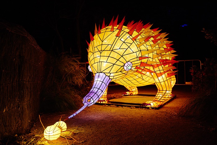 Triển lãm ideas tại lễ hội ánh sáng Vivid Sydney