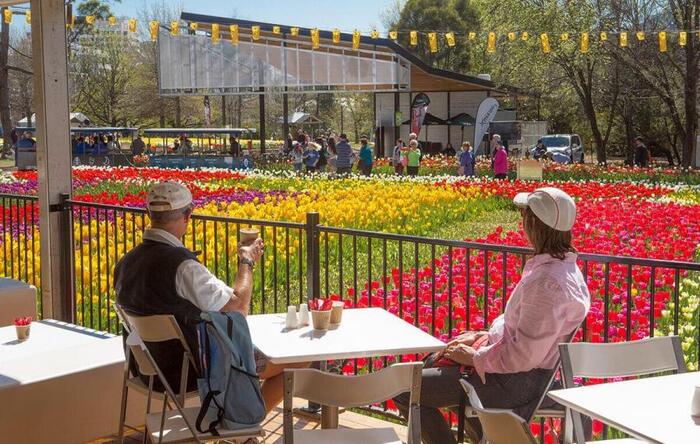 Lễ hội hoa Floriade ở Úc - Đặc biệt Tulip, loài hoa đặc trưng của lễ hội hoa Keukenhof nổi tiếng xứ cối xay gió xa xôi cũng lung linh đua sắc trong lễ hội này.