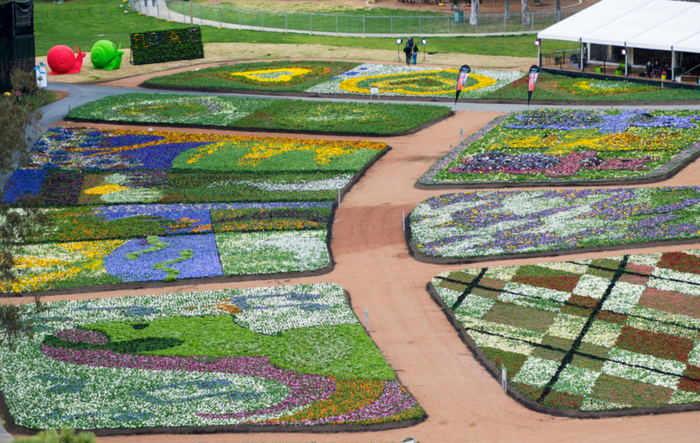 Lễ hội hoa Floriade ở Úc - Những bông hoa được xếp thành hình các bức tranh nghệ thuật sáng tạo, nhiều màu sắc