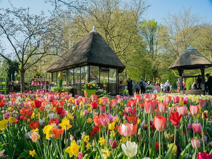 Lễ hội hoa Floriade ở Úc - Lễ hội hoa Floriade diễn ra vào tháng 9 hoặc tháng 10, là thời điểm mùa xuân mới sang trên đất nước Úc. Lúc này, không khí trong lành thích hợp cho các loài hoa phát triển và khoe sắc hương.