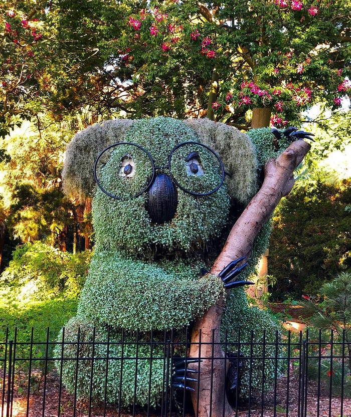 Khám phá thực vật vườn Bách thảo Hoàng gia – Botanic Garden Sydney