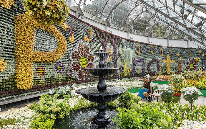 Khám phá thực vật vườn Bách thảo Hoàng gia – Botanic Garden Sydney