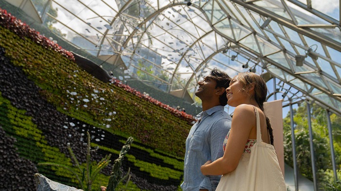 Khám phá thực vật vườn Bách thảo Hoàng gia – Botanic Garden Sydney