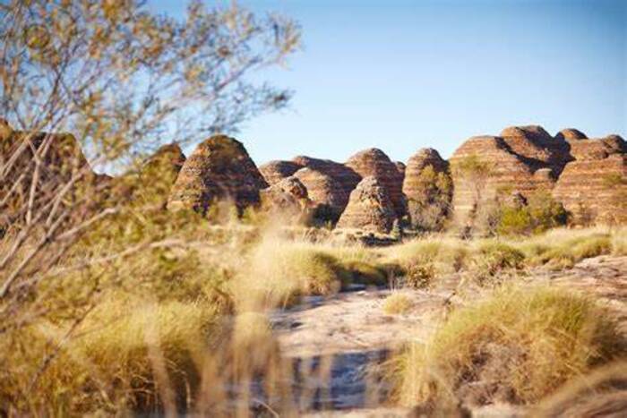 Kinh nghiệm du lịch Úc - Địa hình chủ yếu ở Purnululu là đồng bằng cỏ bao phủ.