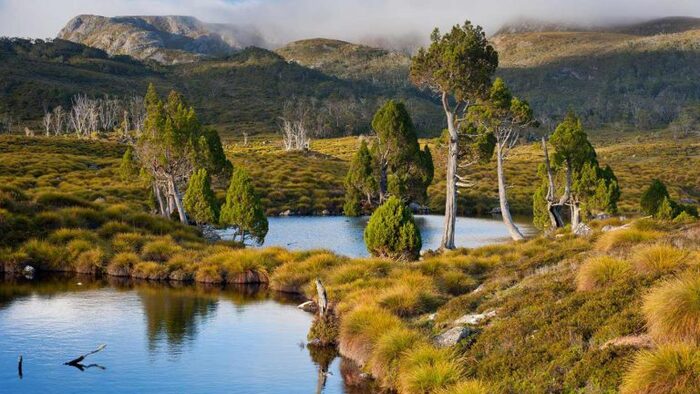 Kinh nghiệm du lịch Úc - Vườn Quốc gia Cradle Mountain – Lake St Clair.