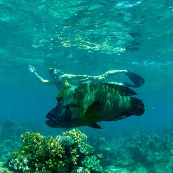 Top 17 địa điểm du lịch Úc theo mùa đẹp nhất từ xuân đến đông