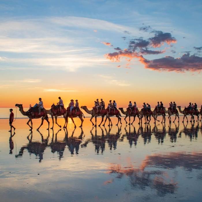 Top 17 địa điểm du lịch Úc theo mùa đẹp nhất từ xuân đến đông