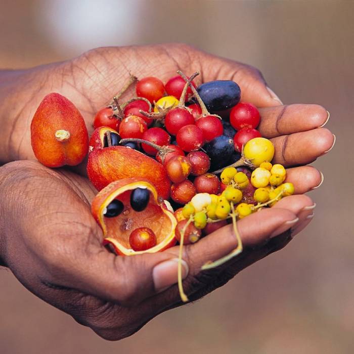 Trải nghiệm ẩm thực khi du lịch Kimberley