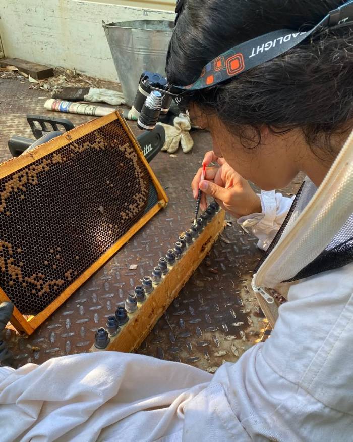 Trải nghiệm ẩm thực khi du lịch Kimberley