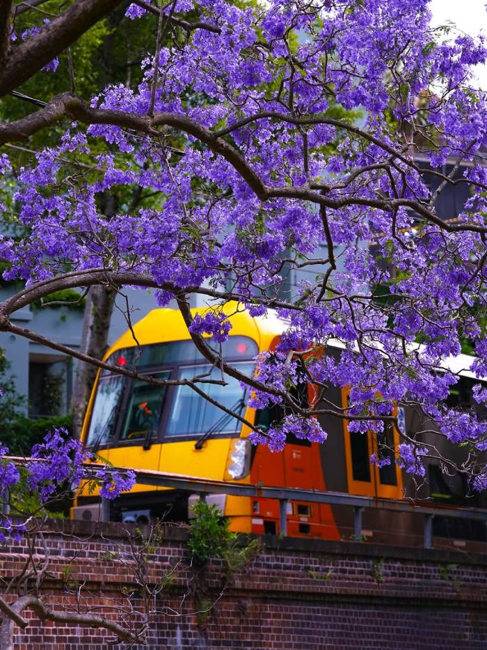 10 nét văn hóa Úc tiêu biểu bạn nên biết trước khi du lịch