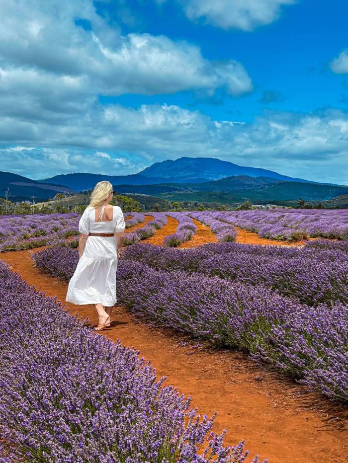 Đảo Tasmania – thiên đường hoang sơ đẹp bậc nhất nước Úc