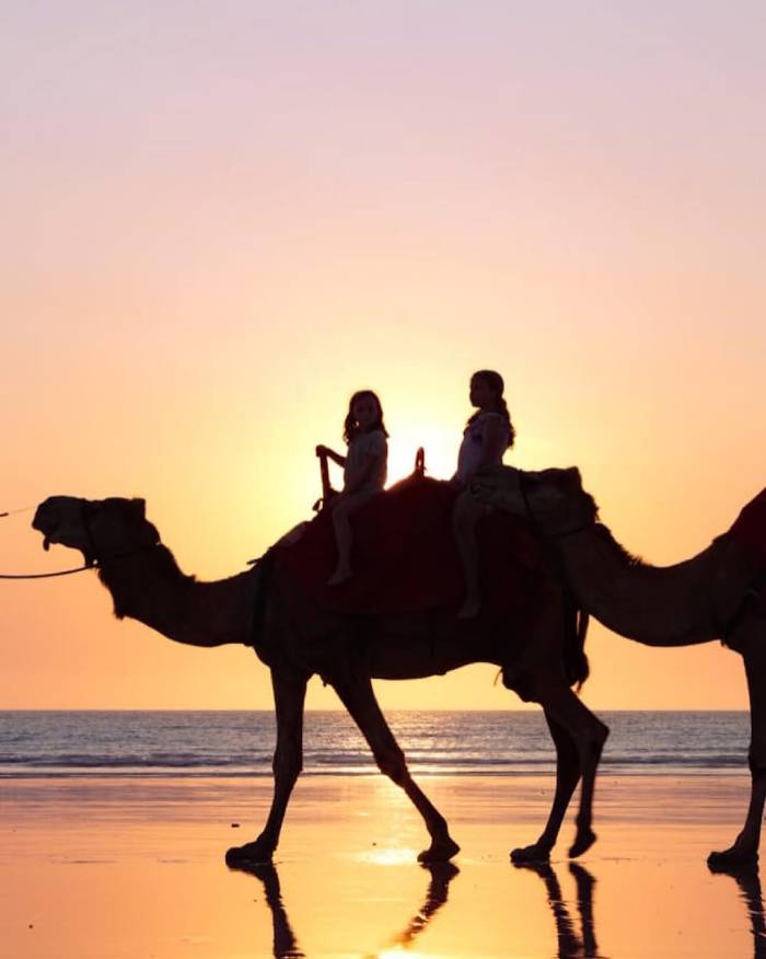 Kinh nghiệm di chuyển và lưu trú khi du lịch đảo Lord Howe