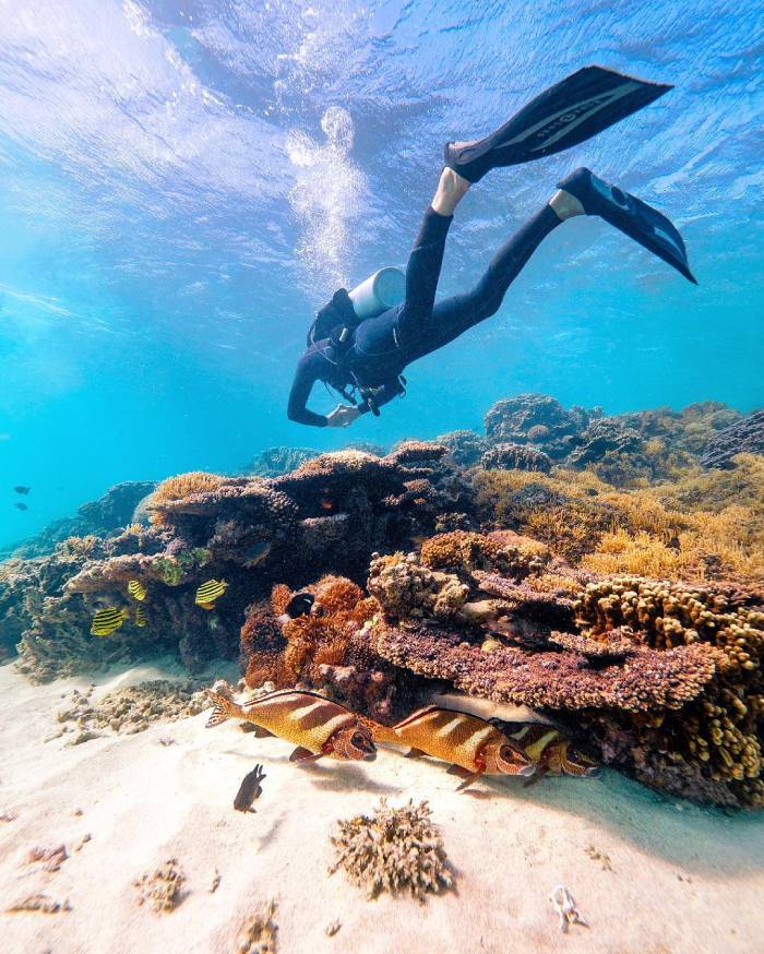 Những trải nghiệm không thể bỏ lỡ khi du lịch đảo Lord Howe