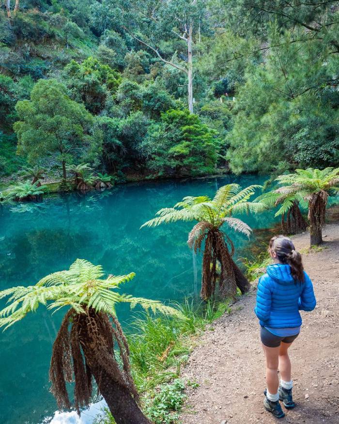 Thời điểm lý tưởng để du lịch dãy núi Blue Mountain