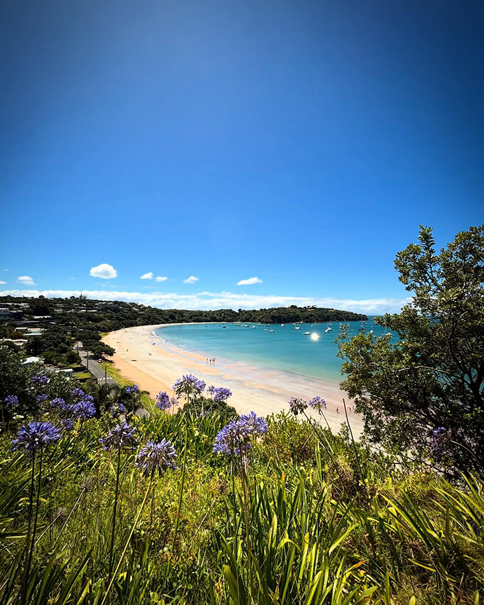 Waiheke Island – Thiên đường nghỉ dưỡng gần Auckland