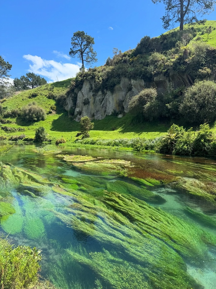 Lake Rotorua là hồ nước lớn nhất trong hệ thống hồ của Rotorua